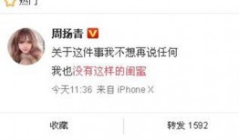 东坑新闻爆料最新,突发！最新事件引发热议，详情即将揭晓